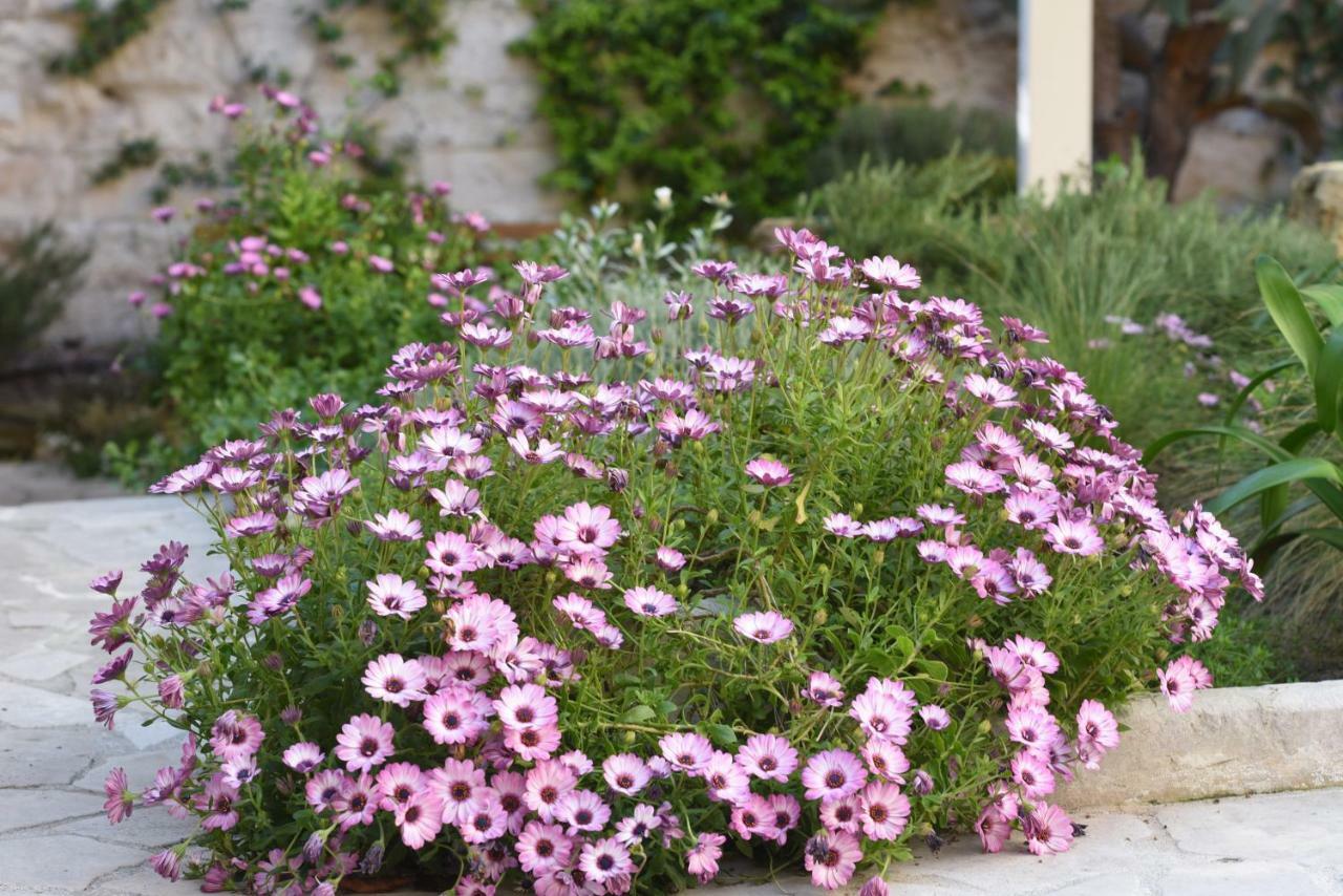 Il Giardino Di Benedetta Bed & Breakfast Lecce Eksteriør bilde